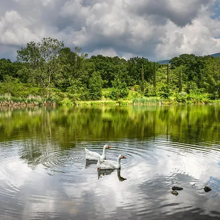 3 Estate E Primavera Nella Natura - Rustico Privato - Wifi - Parcheggio Gratuito - Nuova Gestione Apartment Castel del Piano (Tuscany)