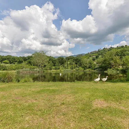 3 Estate E Primavera Nella Natura - Rustico Privato - Wifi - Parcheggio Gratuito - Nuova Gestione Castel del Piano (Tuscany)