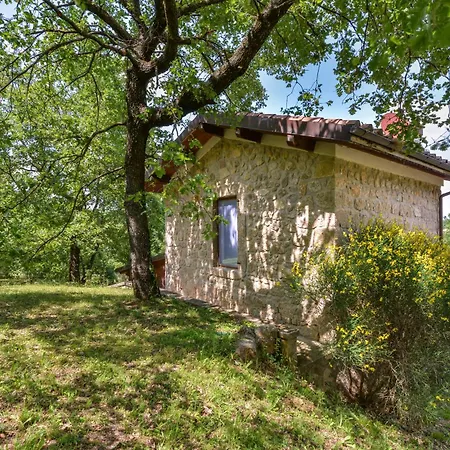 3 Estate E Primavera Nella Natura - Rustico Privato - Wifi - Parcheggio Gratuito - Nuova Gestione Castel del Piano (Tuscany)